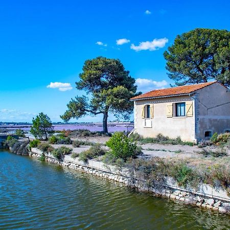 Mas De Colomina Aigues-Mortes Villa Ngoại thất bức ảnh